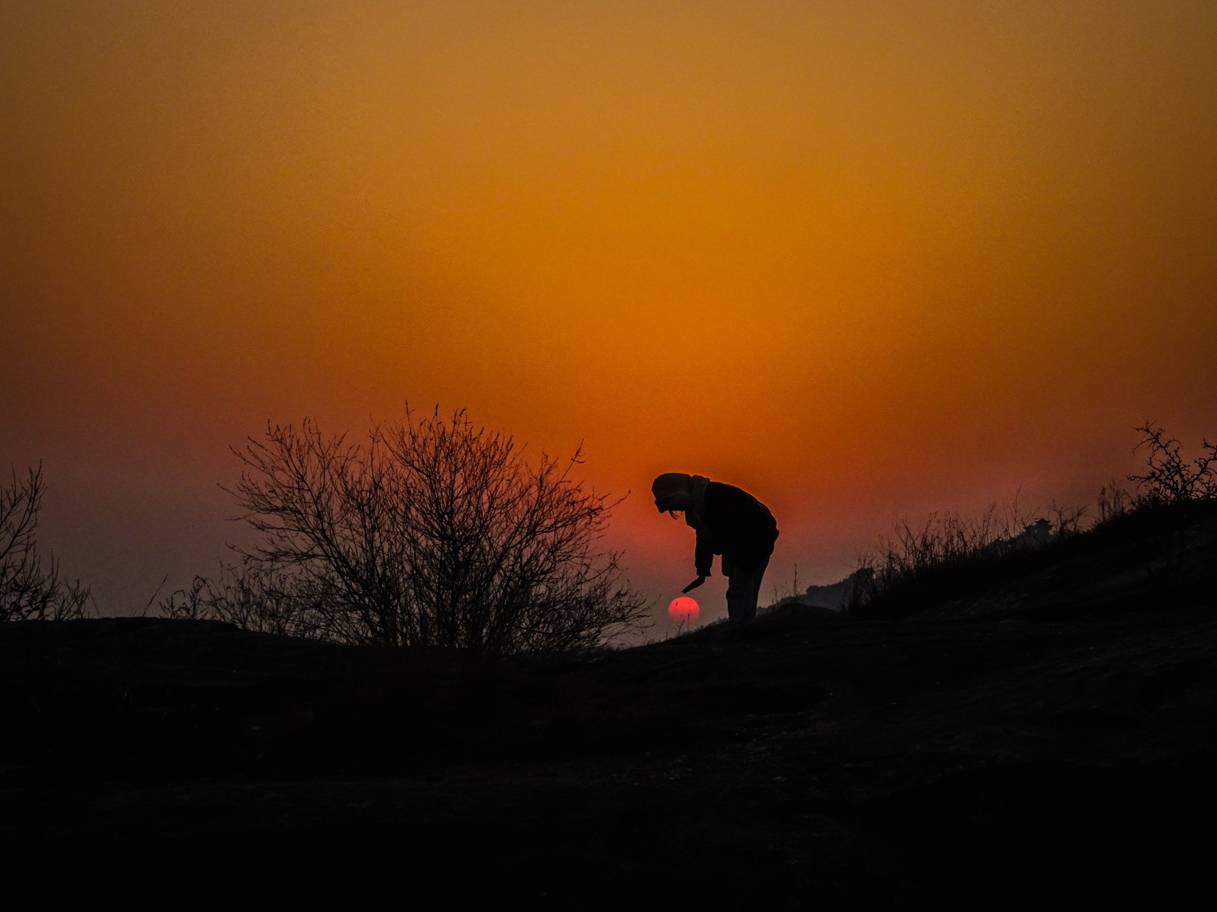 太阳是温的