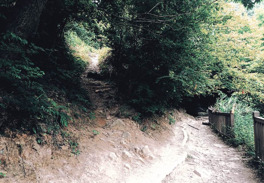 下山时补拍的野路